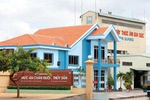 Afiex miễn nhiệm Phó Tổng Giám đốc, lên kế hoạch huy động 350 tỷ đồng
