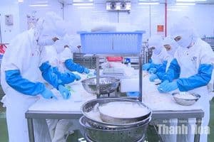 Doanh nghiệp Thanh Hóa linh hoạt thích ứng để chinh phục mục tiêu xuất khẩu 8,5 tỷ USD