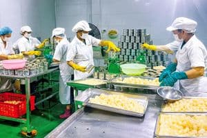 Đưa thương hiệu Bắc Ninh vươn xa: Từ sản phẩm chất lượng đến chỗ đứng vững chắc trên thị trường