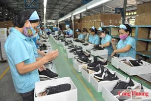 FTA Index 2025: Công cụ mới đo lường sức khỏe hội nhập kinh tế