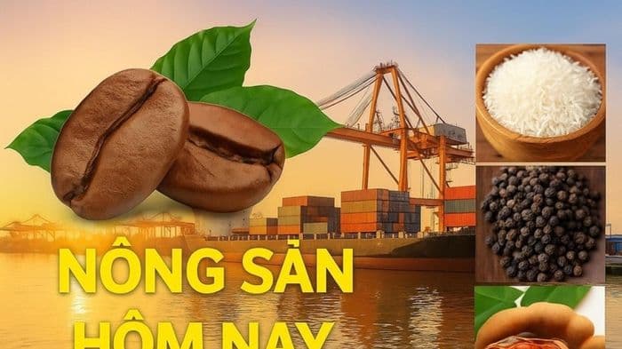 Giá cà phê đảo chiều giảm; Đàm phán Mỹ-Iran thất bại phút cuối, giá dầu leo thang