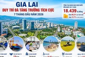 Gia Lai thu ngân sách trong 7 tháng đạt hơn 18.400 tỷ đồng