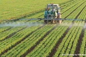 Hợp tác xã Thổ Nhĩ Kỳ mở kênh kết nối tìm nguồn nguyên liệu cho doanh nghiệp Việt