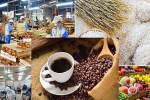 Italia siết quy trình SPS đối với nông sản, thực phẩm và thủy sản Việt Nam