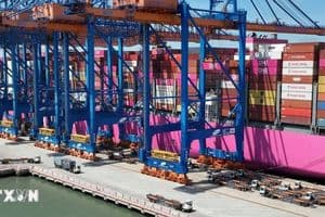 Khởi động tuyến vận tải container quốc tế từ Cần Thơ đến Quảng Tây