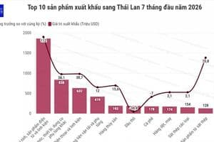 Kim ngạch thương mại Việt Nam - Thái Lan vượt mốc 16 tỷ USD, xăng dầu tăng đột biến