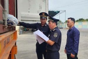 Quy trình hải quan mới: Doanh nghiệp hưởng lợi kép từ số hóa và minh bạch