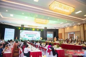 Sầu riêng trước yêu cầu nâng tầm giá trị xuất khẩu