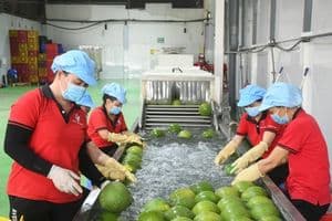 Thị trường Australia mở rộng cửa cho nông sản và thực phẩm Việt Nam