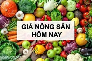 Thị trường nông sản ngày 17/8/2026: Cà phê nội địa chạm đáy, gạo xuất khẩu tăng giá; EU siết thuế, Trung Quốc giảm mạnh đơn hàng