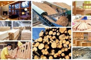 Xuất khẩu gỗ, sản phẩm gỗ sang Trung Quốc tăng vọt; Mỹ sụt giảm vì thuế quan